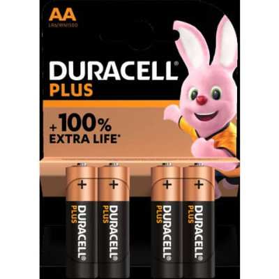 Batterie alcaline Duracell Plus100