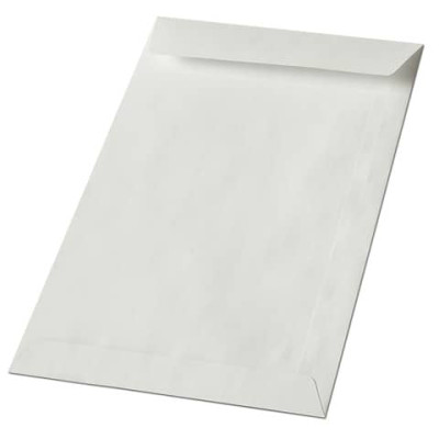 Busta a sacco Blasetti Kraft bianco non gommata 60 g/m2 in conf. 1000 buste 130x180 mm - 311