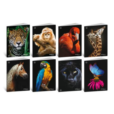 Maxi quaderni Blasetti Animali formato A4 carta 100 g