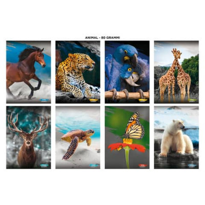Maxi quaderni Blasetti Animali formato A4 carta 80 g