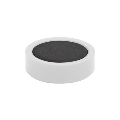 Magneti per lavagne bianche diametro 25 mm