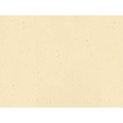 Tovaglietta in carta paglia neutra tinta in massa 30x40 cm