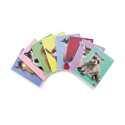 Maxi quaderno Pigna Dolci Cuccioli A4 - 80 g/m² - 21 ff - A - assortiti - 02330170A